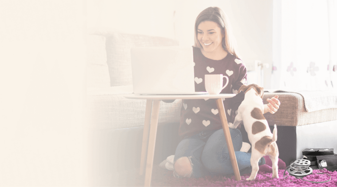 Convert VHS to DVD Transfer & Digitize VHS Tapes to DVD Capture