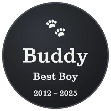 Buddy, Best Boy engraving idea